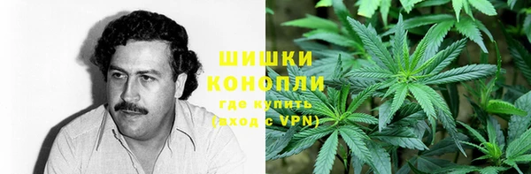 бошки Ладушкин