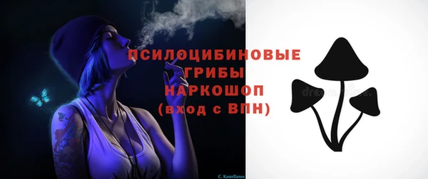 MESCALINE Лабытнанги