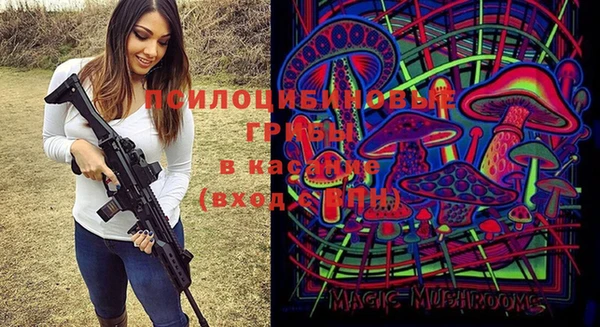 дурь Лагань