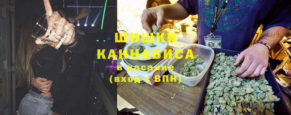 дурь Лагань