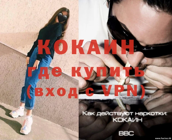 бошки Ладушкин