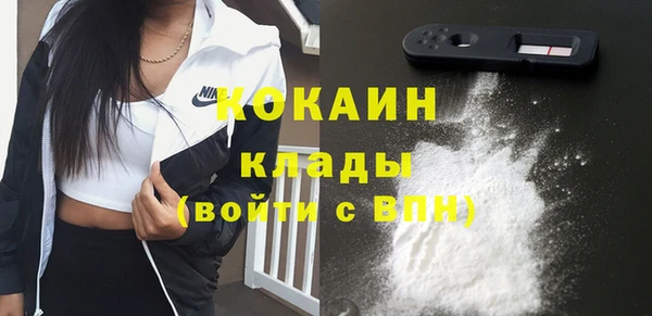 бошки Ладушкин