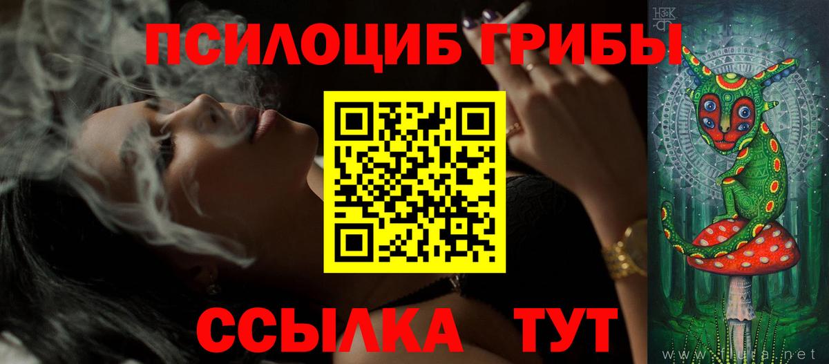 Галлюциногенные грибы Psilocybine cubensis Екатеринбург
