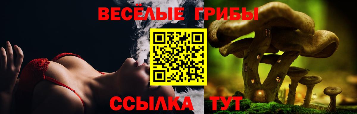 Псилоцибиновые грибы Magic Shrooms  купить наркоту  Екатеринбург  Вход с VPN 
